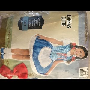 Kansas cutie( Dorothy, wizard of Oz) costume